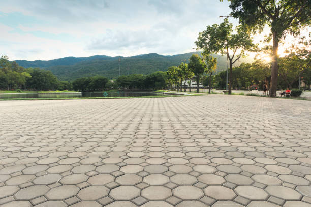 Best Residential Paver Driveway  in Caledonia, MN