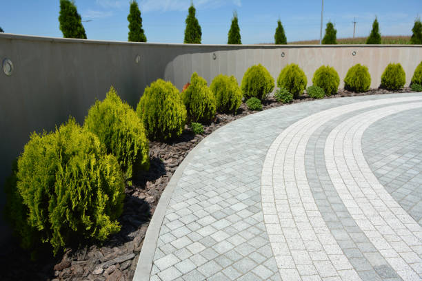 Best Driveway Paver Repair  in Caledonia, MN