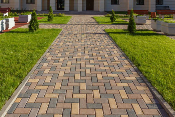 Best Professional Driveway Pavers  in Caledonia, MN
